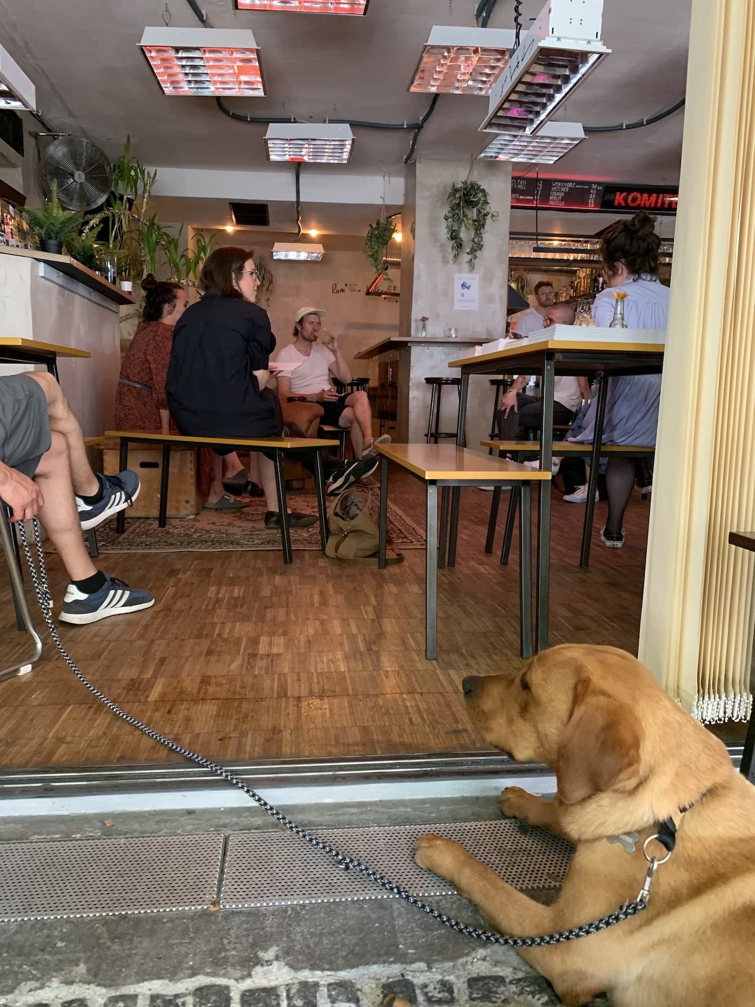Blick von der Terrasse in eine Bar, in der die Gesprächsrunde über kreative Stadtentwicklung stattfindet. Im Vordergrund liegt ein Hund. Die Gesprächspartner Tina Zopf (MGS), Alexander Deubl und Konstantin Landuris (Super+). Foto: Baumeister / Jessica Mankel