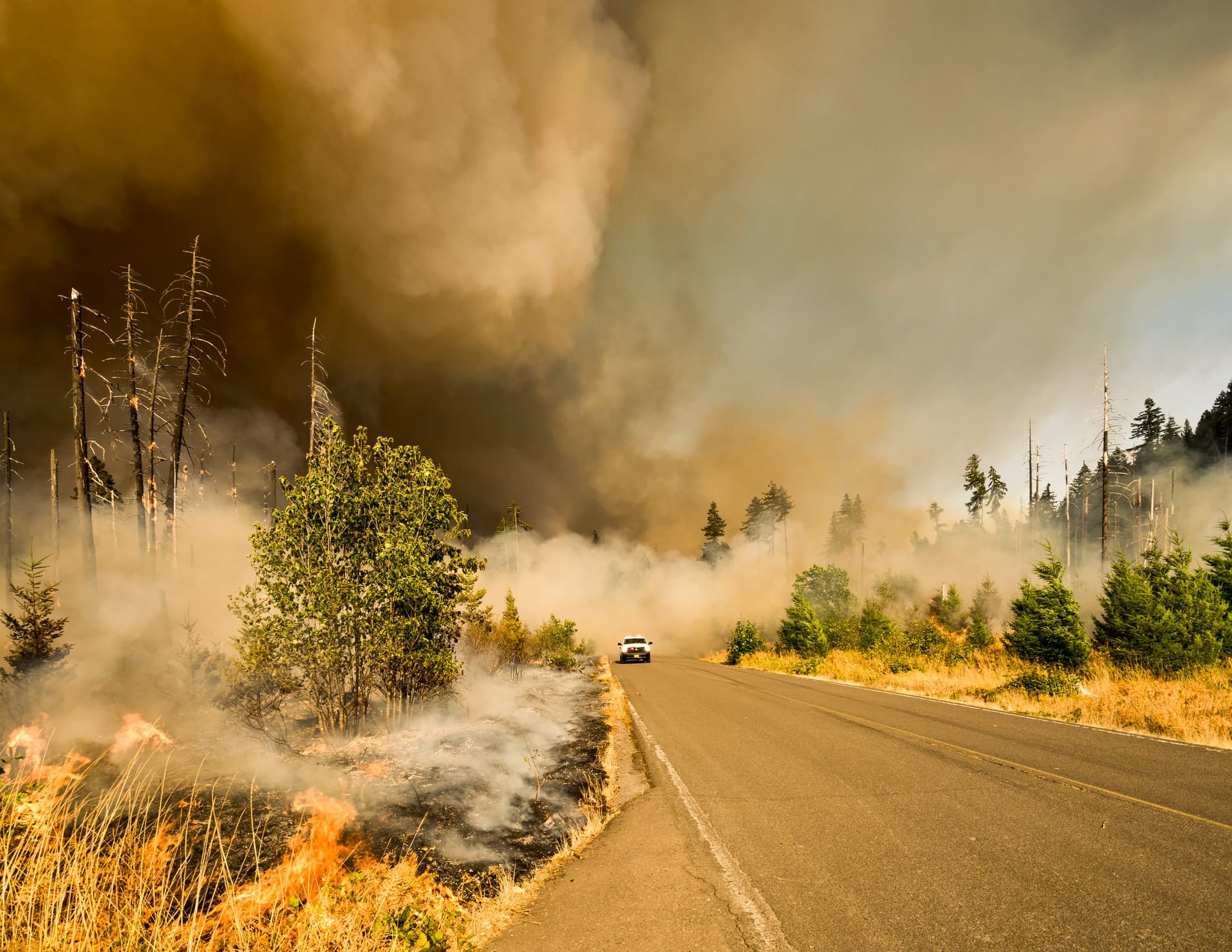 Gemeinsam mit GRID-Arendal veröffentlichte das UN-Umweltprogramm UNEP kürzlich neueste Zahlen zur Gefahr von Waldbrand. Hier sind die Ergebnisse zu den Waldbränden.
