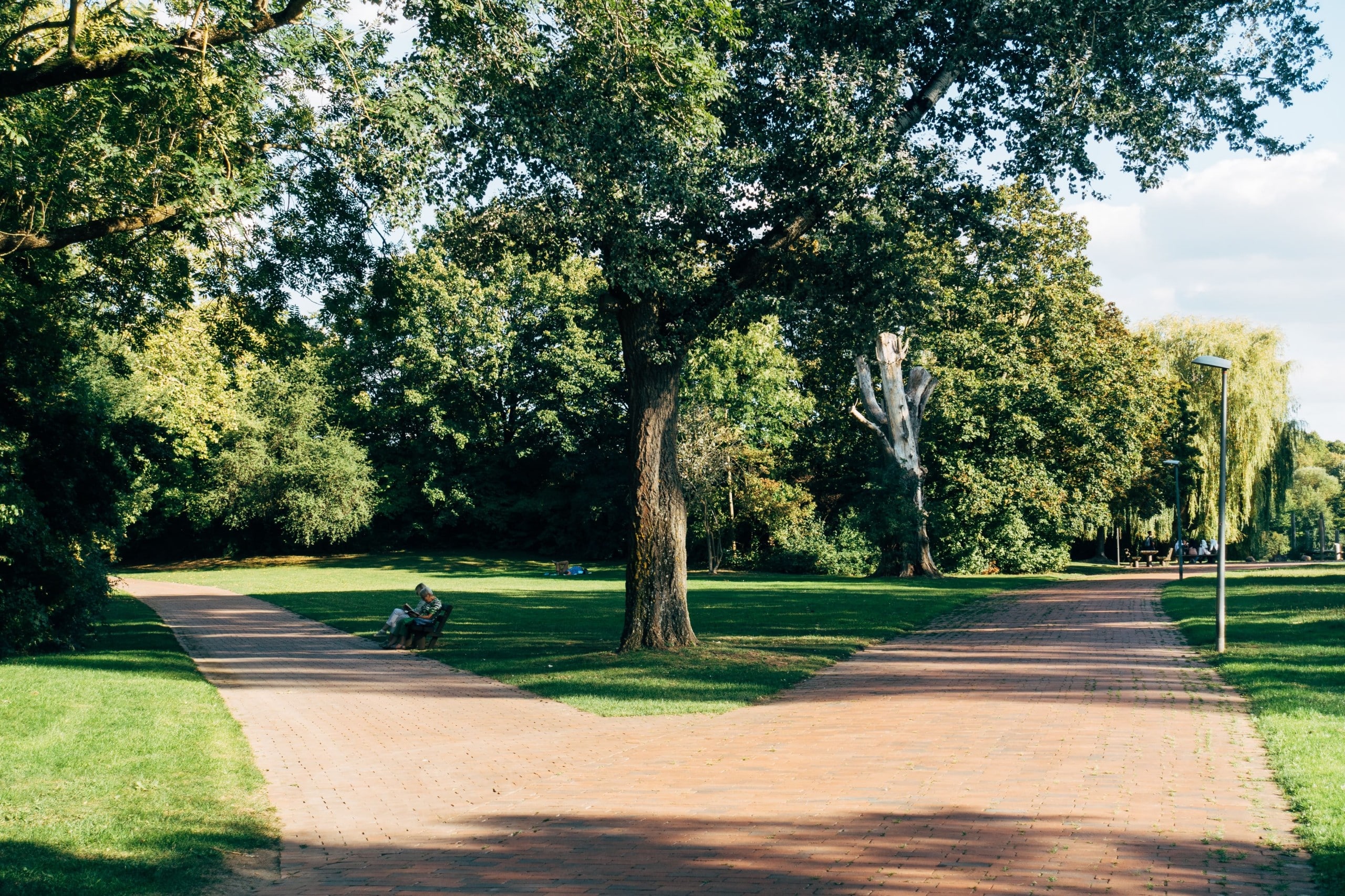 Eines der zentralen Themen des Kongresses grüner Fachverbände und GALK e.V. war die Beteiligung von Bürger*innen an Projekten im öffentlichen Grün. Das Foto zeigt einen Blick auf eine Weggabelung in einem öffentlichen Park, zentral im Bild steht ein großer Baum. Foto: Mark Winkler auf Unsplash