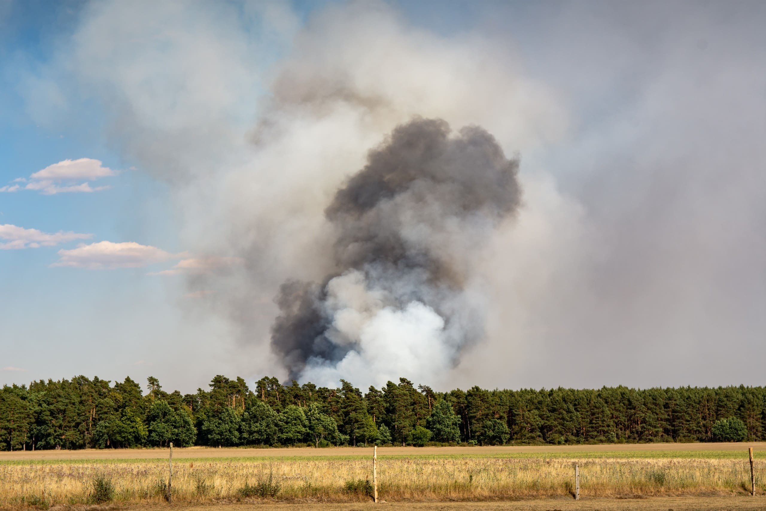 Waldbrände: wie wir resiliente Landschaften gestalten können