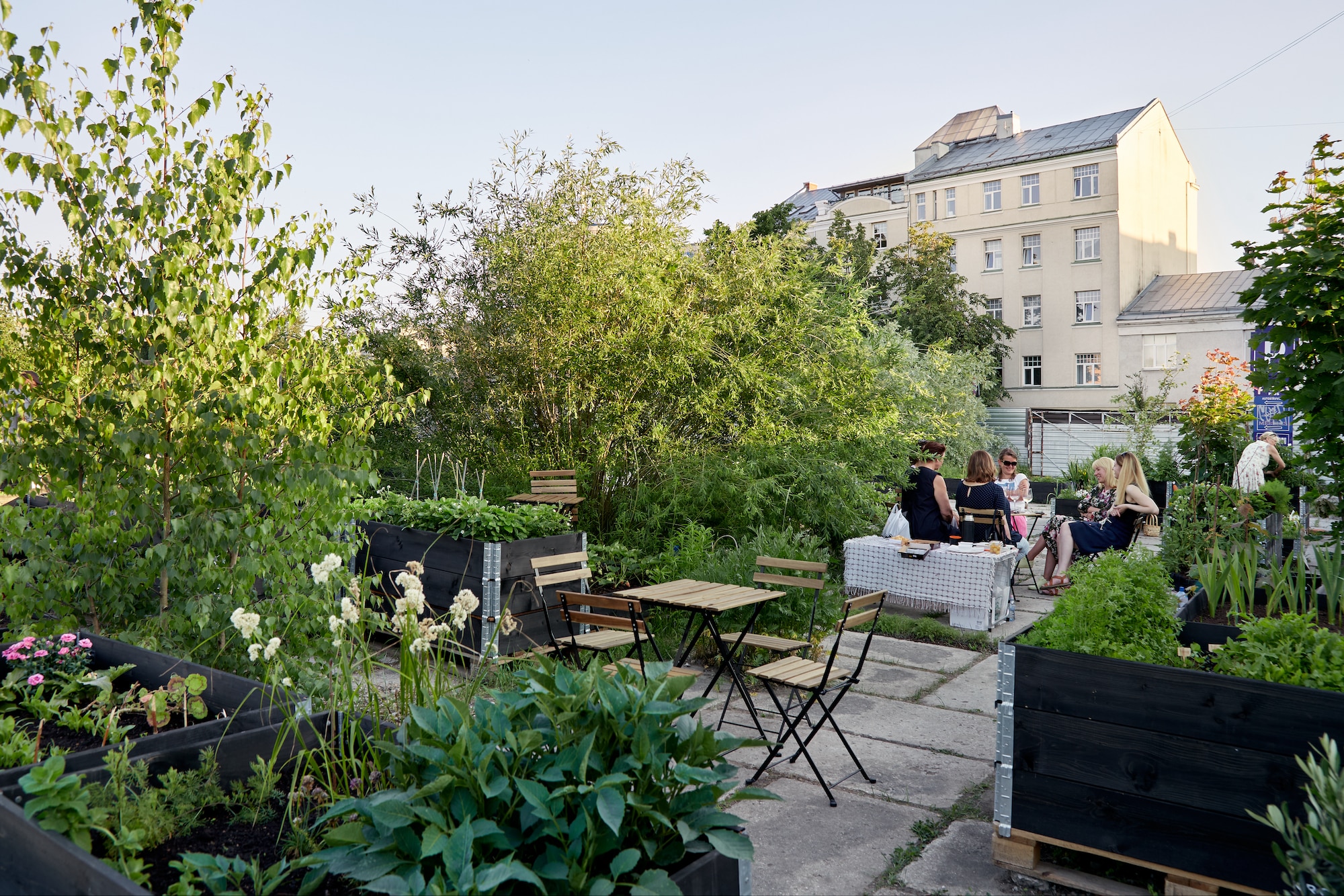 “Sporta pils dārzi”urban garden in Riga, 2021. Riga, Latvia. Artilērijas dārzi