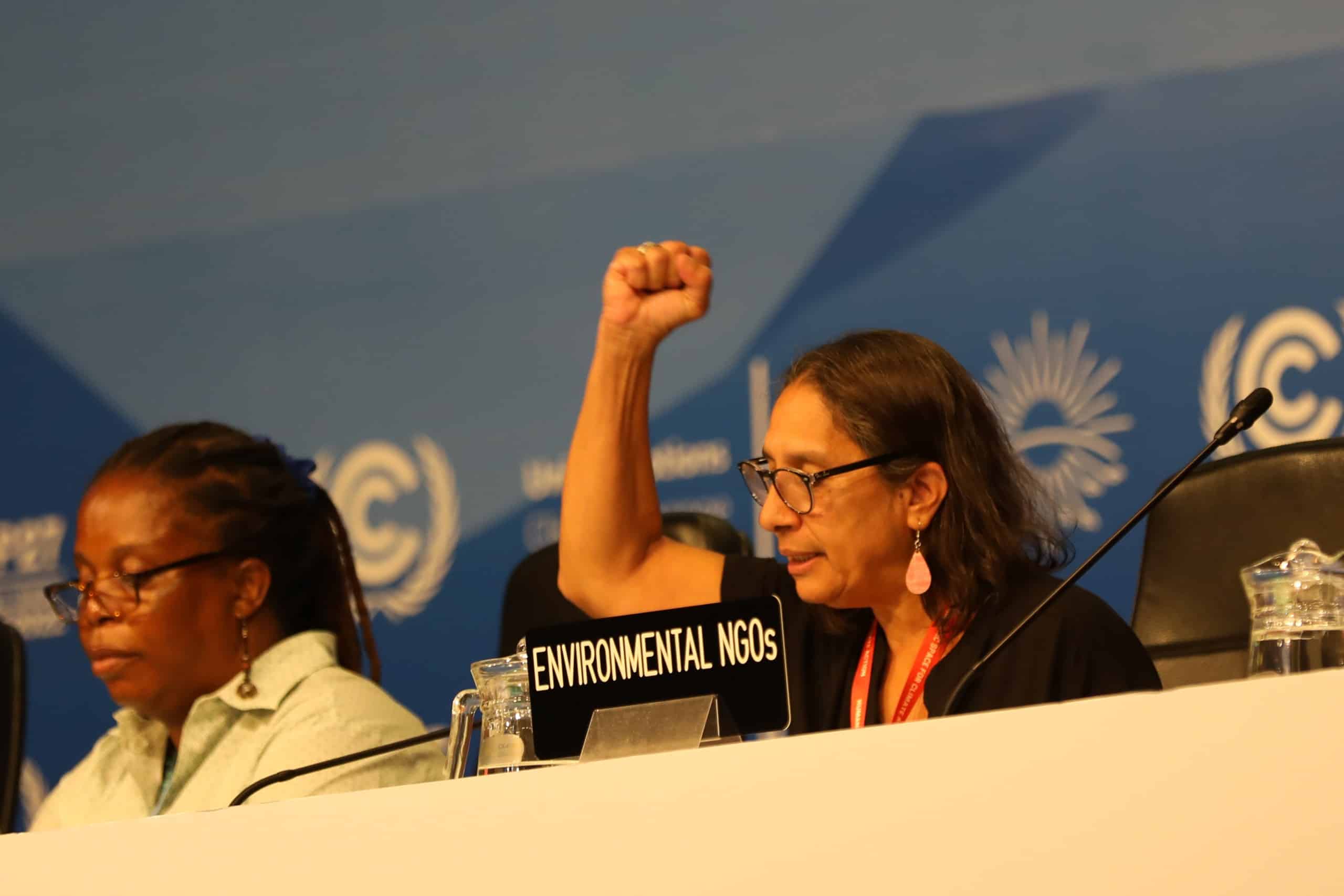 Umweltaktivismus während COP27. Bildquelle: UNFCCC via Flickr, CC BY-NC-SA 2.0