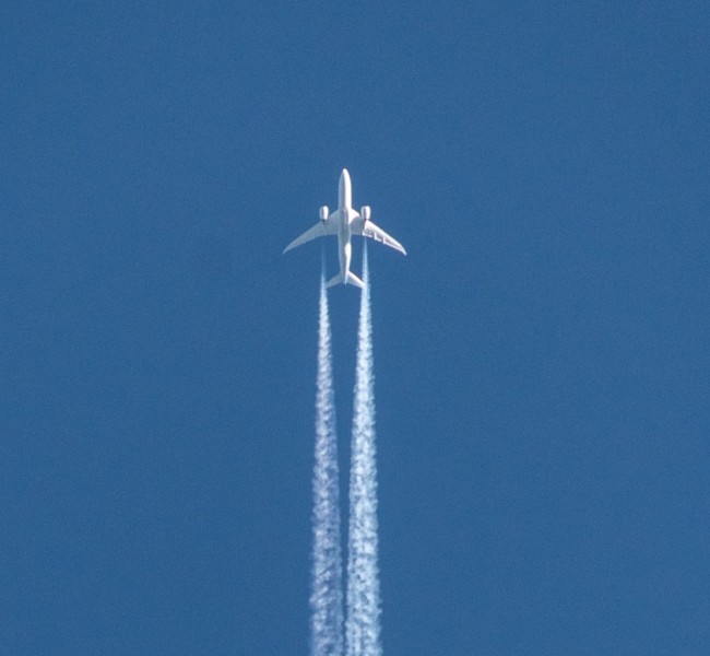 Klimaneutrales Fliegen oder den Flug kompensieren - geht das? Zu sehen ist ein Flugzeug vor einem blauen Himmel