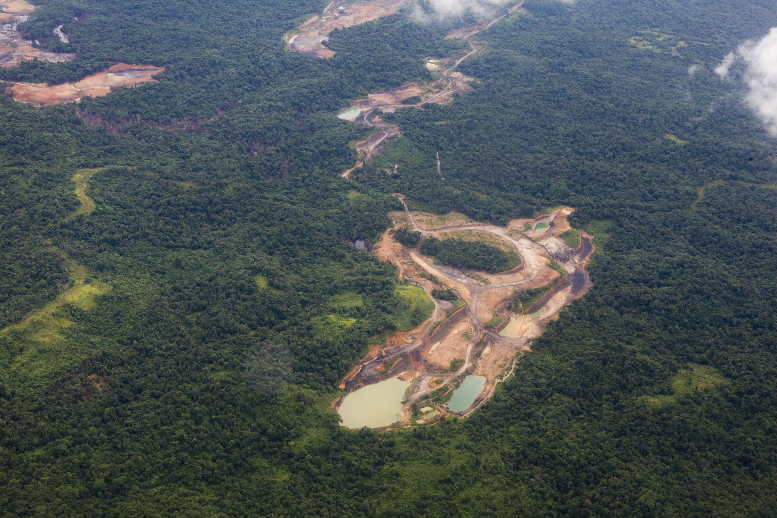 Waldrodung auf Borneo © Simon Rawles