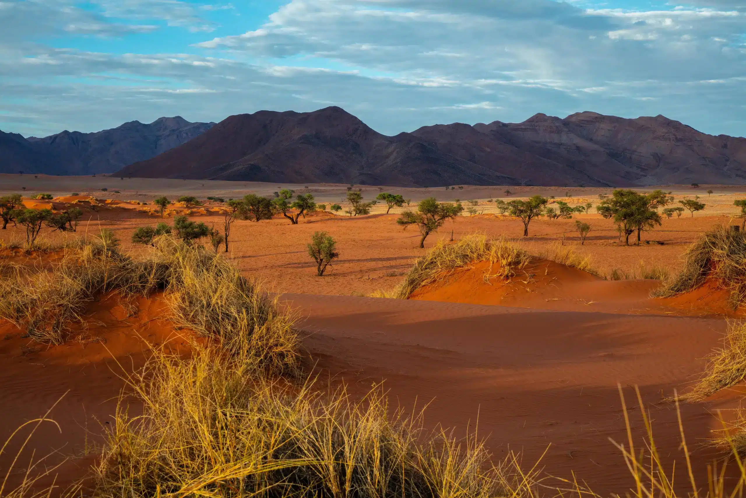 Namibia, Foto: Unsplash