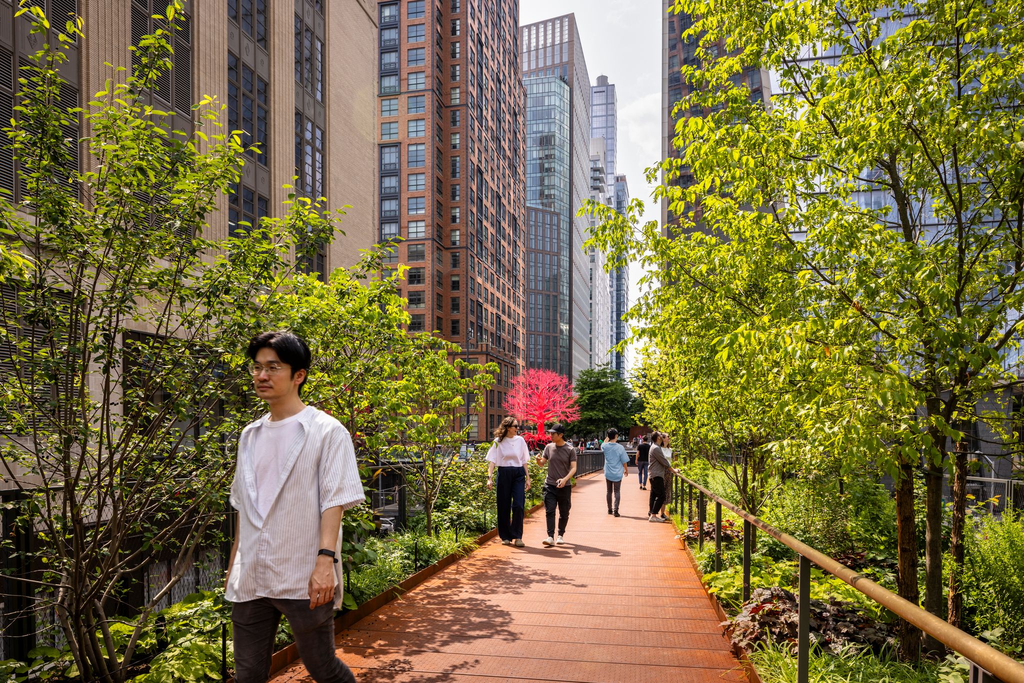 Hoch über den Straßen von New York City, umgeben von grün: Der Moynihan Connector ist sowohl optisch als auch funktional interessant. Foto: Andrew Frasz, courtesy of the High Line