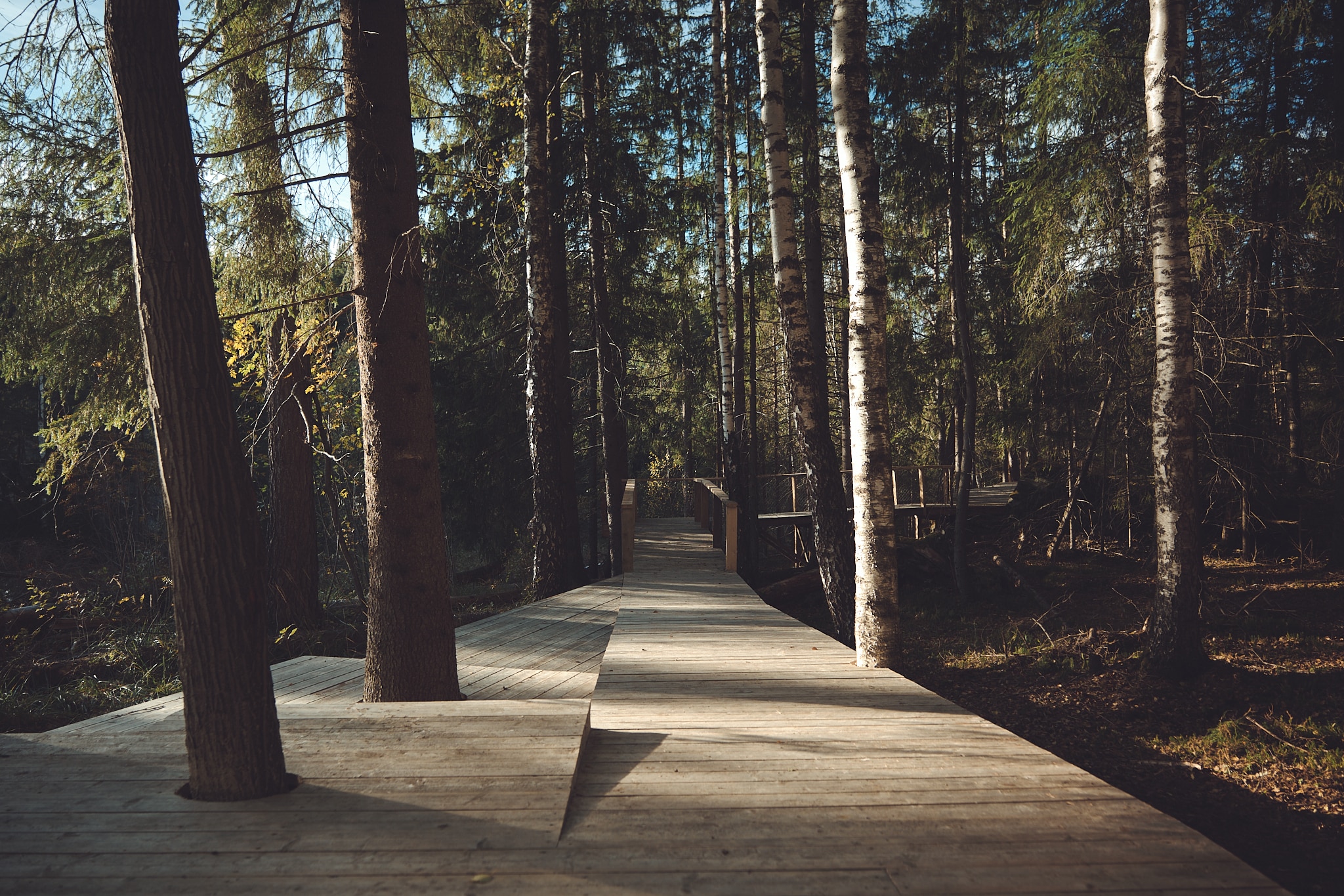 Erhöhte Holzstege führen durch den abgelegenen Wald. Quelle: Rintala Eggertsson Architects, Photo: Martin Vinje