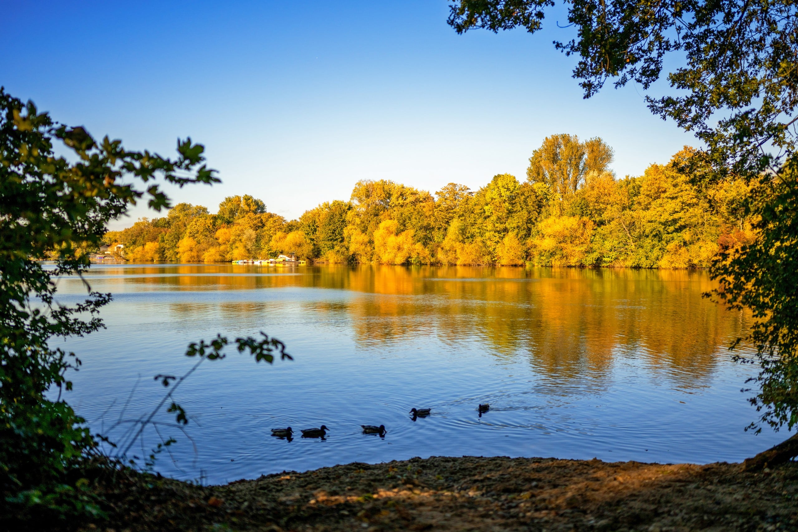 Herbst an der Sechs Seen Platte. Quelle: Stadt Duisburg, Ilja Höpping